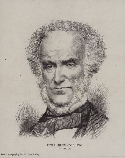 Peter Drummond van Stirling door English School